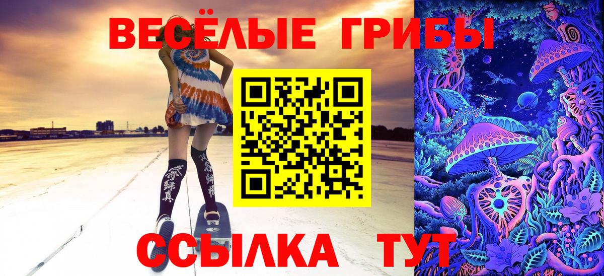 Галлюциногенные грибы MAGIC MUSHROOMS Химки