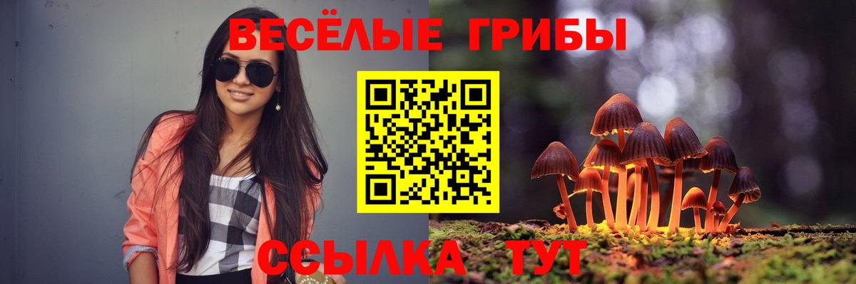 Псилоцибиновые грибы Cubensis  Псилоцибиновые грибы Psilocybe  Химки  Вход с VPN 